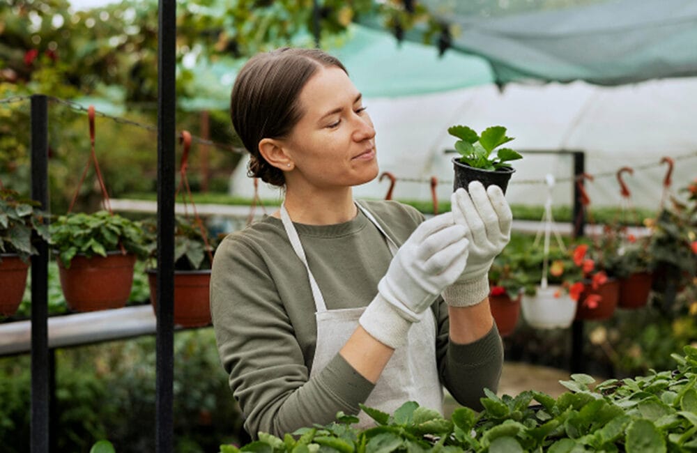 Sustainable Gardening Tips for Every Home