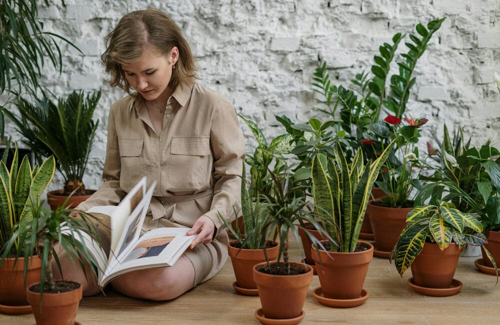 Organic Gardening Techniques for Beginners